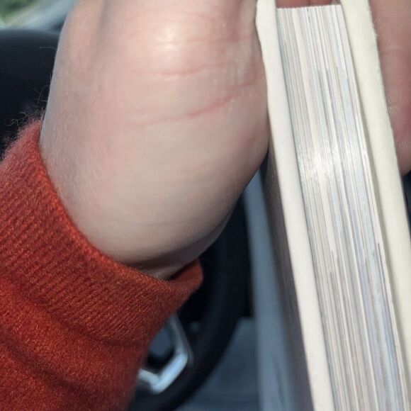 2018 Waldorf Astoria Chicago Luxury Art Book - Rare With Lots of Pictures HC - Picture 15 of 15